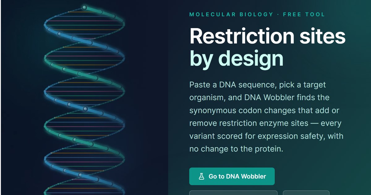 DNA Wobbler – Et videnskabeligt SaaS-værktøj bygget med AI